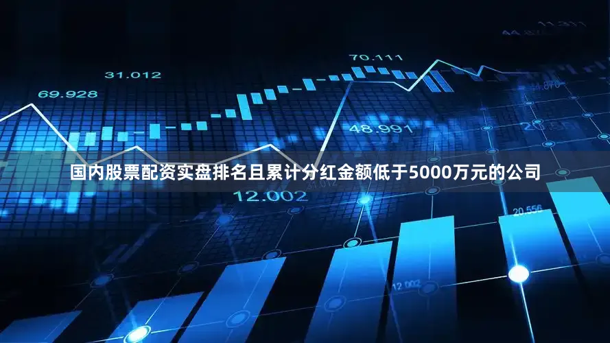 国内股票配资实盘排名且累计分红金额低于5000万元的公司