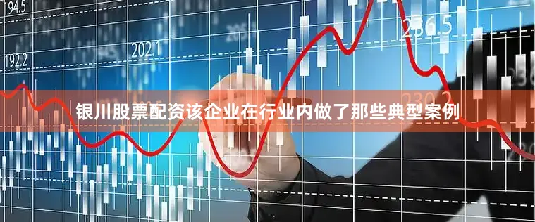 银川股票配资该企业在行业内做了那些典型案例