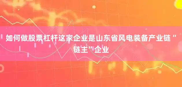 如何做股票杠杆这家企业是山东省风电装备产业链“链主”企业
