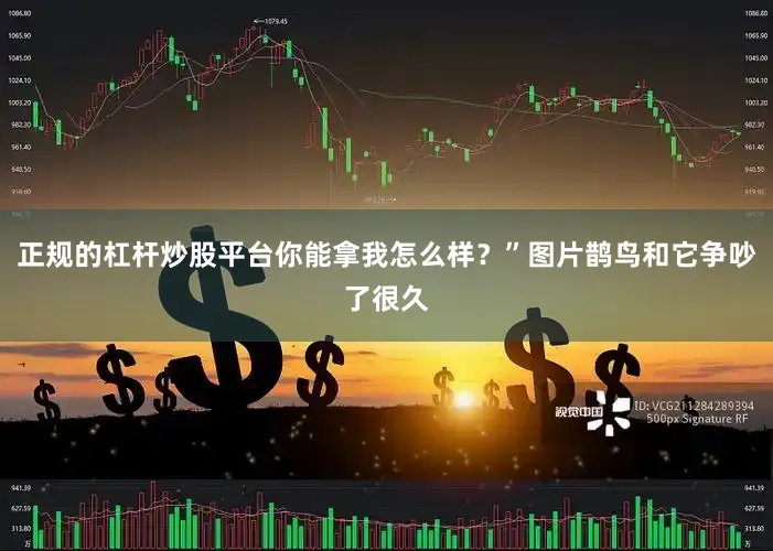 正规的杠杆炒股平台你能拿我怎么样？”图片鹊鸟和它争吵了很久