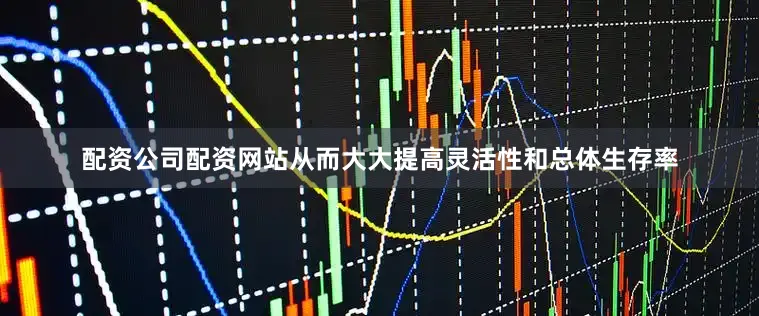 配资公司配资网站从而大大提高灵活性和总体生存率