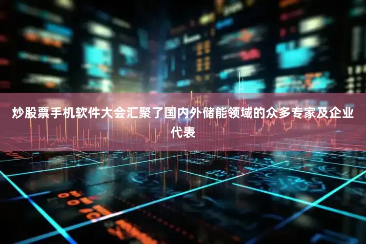 炒股票手机软件大会汇聚了国内外储能领域的众多专家及企业代表